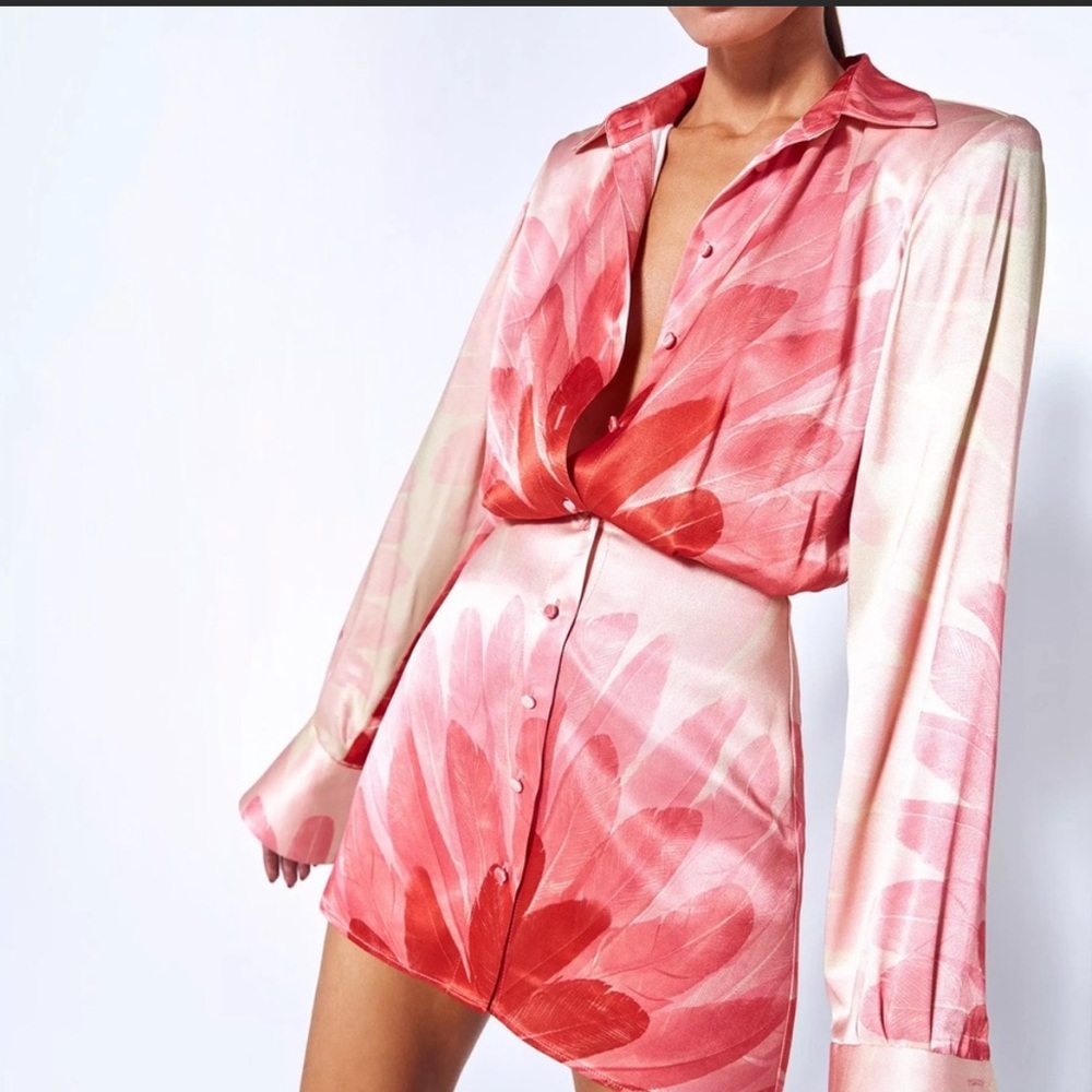 Alexis Red and Pink Floral Long Sleeve Dress